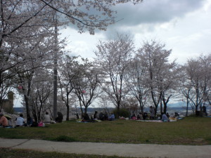 A definite sign of spring -- people eating and relaxing under cherry blossoms!