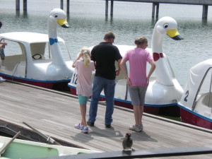 We had time for paddleboats! As my dad would say, "We had a fowl time."
